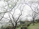 kenkenさんの為松公園への投稿写真3