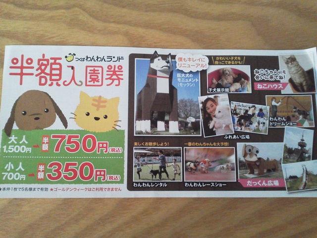 33���𒴂����̂ŁA����̊������������܂���(*^��^*)_���΂���񃉃��h