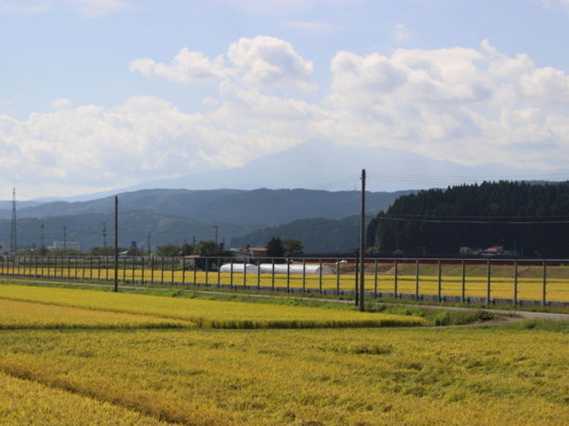 �ԑ����猩�����C�R�B�����͂�����ł��܂���_�R�������S��