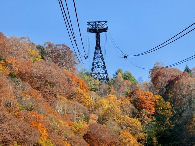 V䍂񃍁[vEFC_V䍂rW^[Z^[Ry