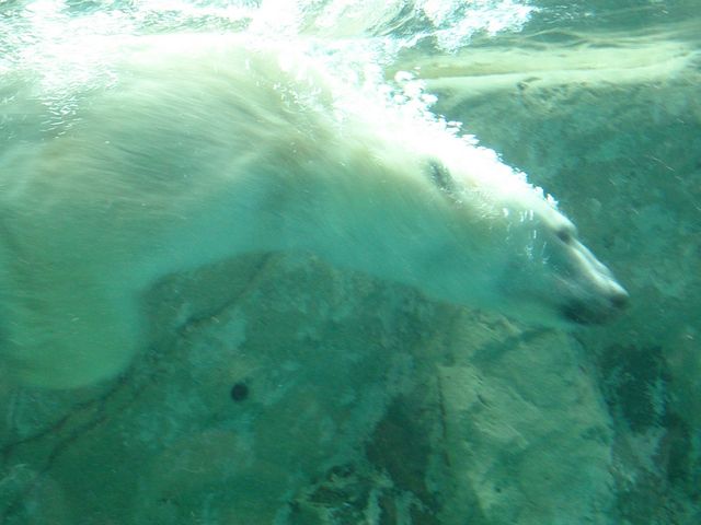 �j�����F_���R������