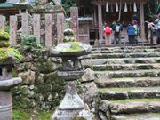 ߋT|~̍]_Ђ̓eʐ^1