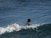 ��������^������񂳂�̔M��C������i�x�n�t���r�[�`�j�̓��e�ʐ^1