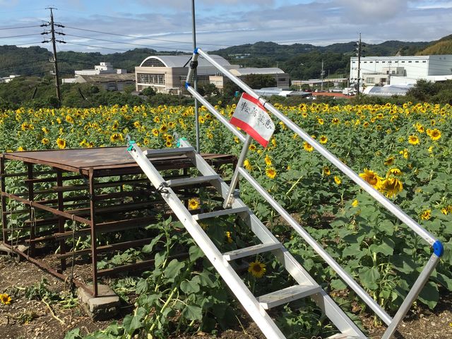 �W�]��_�ό��_���ԂЂ��