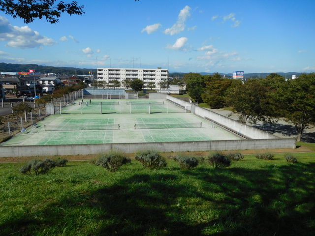 �e�j�X�R�[�g������܂��B_��͌�����