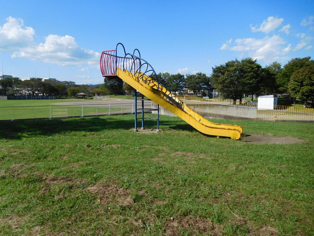 ����������܂��B_��͌�����