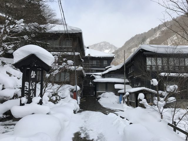 �������炻���͐�i�F_�k���򗷊�