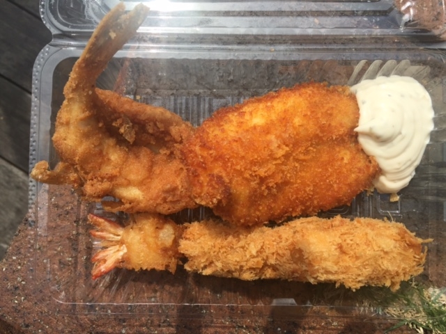 ӂ̂gEtCƃGrtC_ˎsin֊Xj