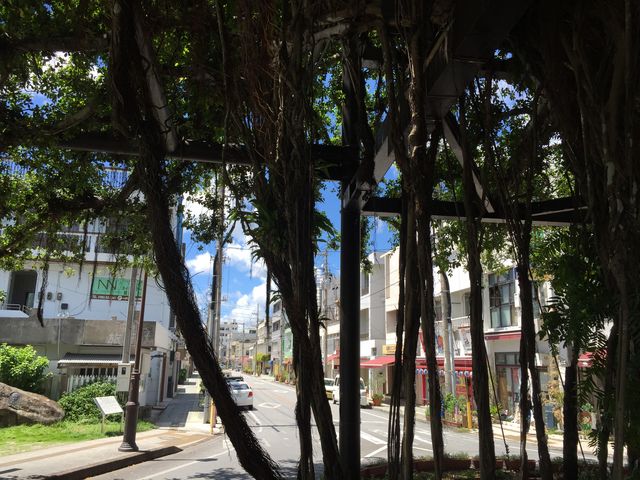 �Ђ�Ղ񂪂���܂�_����̂Ђ�Ղ�K�W���}��