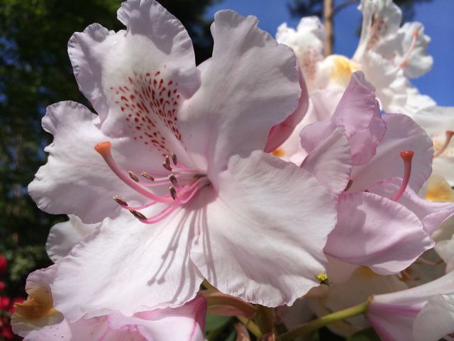 ݂񂳂̓cR̂̓eʐ^1