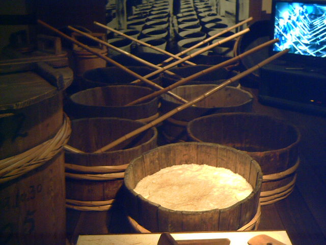 �����H��_�e���@�𑢋L�O��