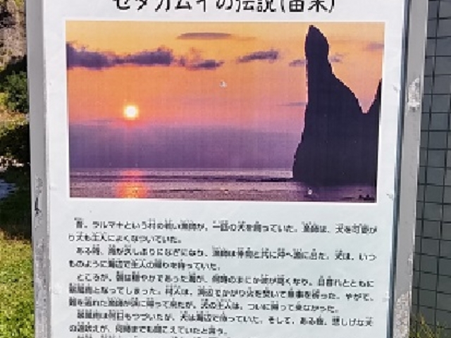 �Z�^�J���C�̓`���i�R���j_�Z�^�J���C��