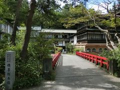 ɂǂ񂳂̎l@ϑPقւ̓eʐ^1