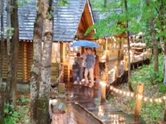 ṼVbsO[hujOeXvւ̓eʐ^1