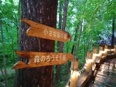 ṼVbsO[hujOeXvւ̓eʐ^5