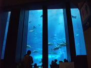 낭̃JtF I[Vu[̓eʐ^1