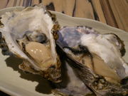 䂫̕l̋t  Ƃꂽ `̓eʐ^1