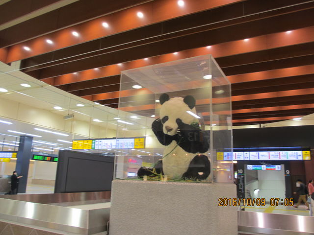 ��쁁�p���__���w�W���C�A���g�p���_��