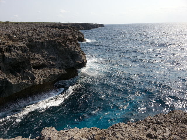 �r�X����_���ߍ�