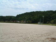 Ԃ񂳂̋cӂꂠX|[c̓eʐ^1