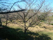 Ԃ񂳂̊ێR\CVm̓eʐ^1