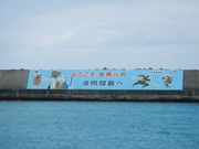 �̂�Ԃ�����̍`�^�[�~�i�����X������̓��e�ʐ^1