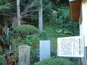 Ԃ񂳂̐Αdi̋ǋ{j̓eʐ^2