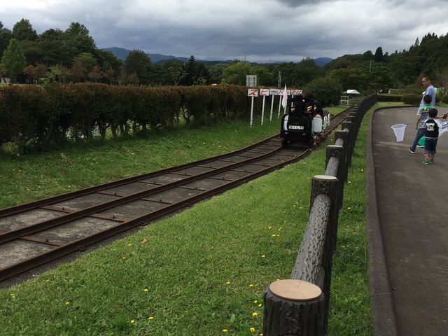 䂫݂̌䏊΍L蕨L̓eʐ^1