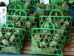 ^񂳂̋l}sdSOwւ̓eʐ^2