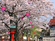 [񂳂̏艷X̍̓eʐ^1