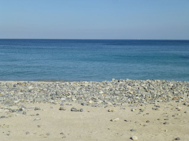 ������_�c���C������