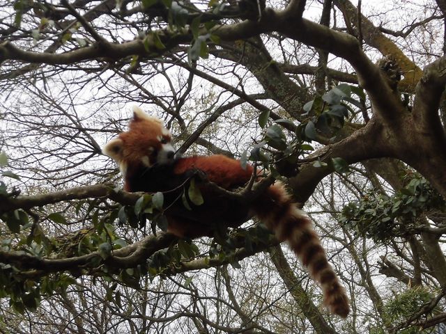 �A_���R������