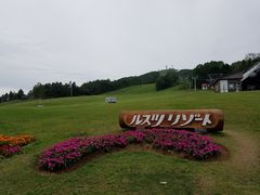 ���X�c���]�[�g�̎ʐ^1