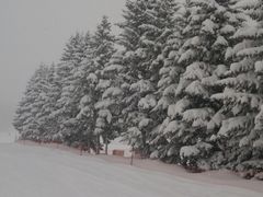 ���X�c���]�[�g�X�L�[��̎ʐ^1