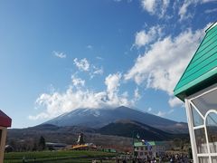 �f�����������i�����ρj�̎ʐ^1