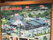 qV̐썪ӂꂠ̐̓eʐ^1