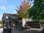 ̃X^[obNXER[q[ Xp[LOGAijX̓eʐ^1