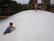 ɂ񂱂̊}Ԍ|p̐X̓eʐ^1