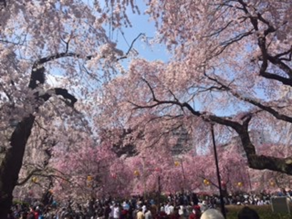 仙台駅周辺の公園 庭園ランキングtop10 じゃらんnet