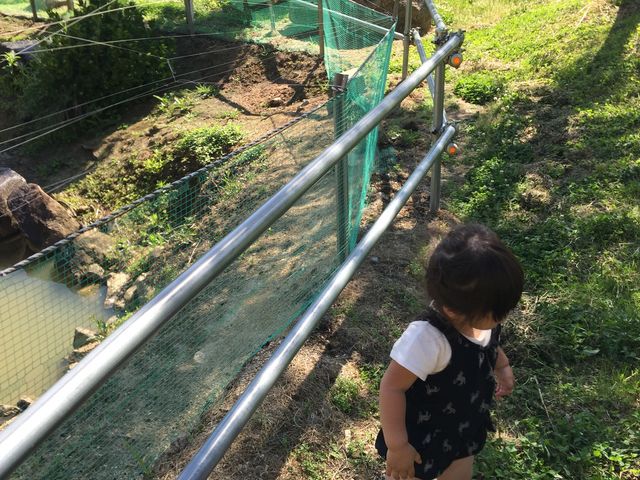 [T̂܂q~NH[̓eʐ^1