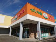 korikorĩTC[ p[VeBlsX̓eʐ^1