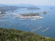 micky7777����̐j�������̓��e�ʐ^5