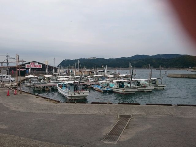 �����̋��`_�����ό�����