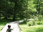 mado114̃mm̐X(̐XR)̓eʐ^1