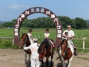 mado114̐쓒p[Nq̓eʐ^1