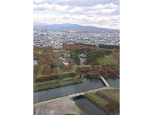 �^���[����̎ʐ^_�ܗŊs��