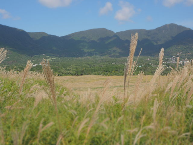 �Ζʂ̃X�X�L���猩�镗�i�͂ǂ������������������܂��B_��Ό�����