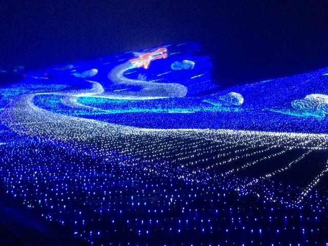 C~l[V_yl̐nzAp][gzW]