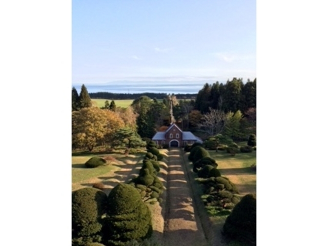 �C���@_�����V�g�[���̐����C���@�i�g���s�X�g�C���@�j