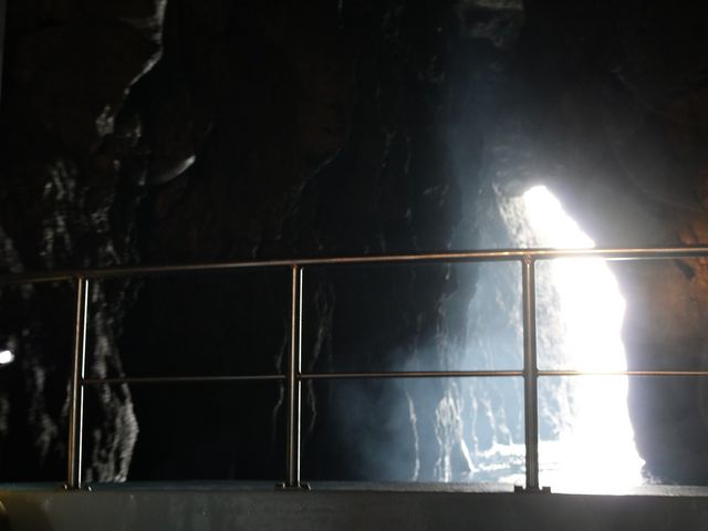 ���Â̊�A�i��������̂����j_����߂���V���D